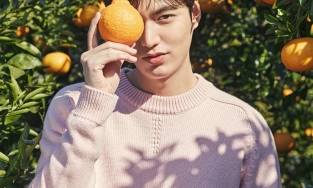 Quýt Hallabong, loại quả được xem là quốc bảo của Hàn Quốc 