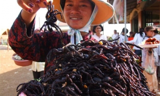 5 đặc sản kinh dị của Đông Nam Á, Việt Nam có đến 4 món trong danh sách