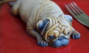 Mẹ khéo tay làm bánh ngọt quá giống cún thật, con gái... từ chối ăn