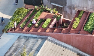 Ngắm ngôi nhà 7 bậc thang trồng rau trên mái ở Quảng Ngãi vừa đoạt giải kiến trúc quốc tế