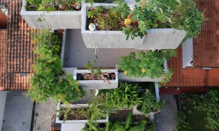 Ngôi nhà 3 tầng xanh ngắt, chẳng phải lo đến rau củ với 40 loại cây trồng khắp nơi