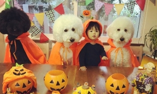 'Biến hóa' mùa lễ hội: Hóa trang Halloween cho bé gái