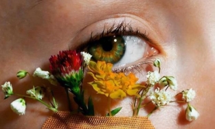 Hãy ăn thịt để sở hữu hàng mi dài cong vút