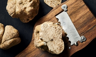 6 nguyên liệu làm đẹp chỉ dành cho giới nhà giàu 