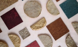 Da làm bằng nước dừa: Vật liệu thân thiện môi trường dành cho tương lai 