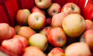 Nên ăn trái cây gì đẹp da đẹp dáng?