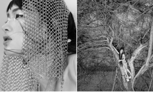 Châu Bùi trèo lên cây tạo dáng trong bức ảnh đen trắng, netizen bình luận: 'Con ma này xinh gái!'