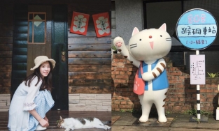 Làng mèo Hầu Động, thiên đường dành cho team yêu mèo tại Đài Loan