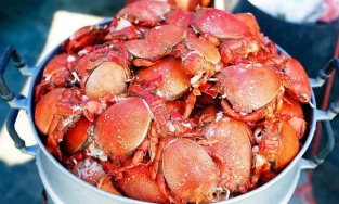 5 món đặc sản nhất định phải thử khi ghé thăm huyện đảo Phú Quý