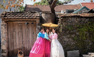 Cây hồng trăm tuổi ở Ninh Bình, điểm check-in mới nổi nhờ bối cảnh như Hàn Quốc