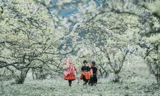 Người Hà Nội có thể đi du lịch Tết dương lịch ở đâu khi nhiều quận thành vùng cam?