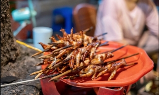 7 quán chân gà nướng “nhắc là thèm” trong những ngày đông rét của Hà Nội