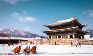 8 đường bay quốc tế được các hãng hàng không Việt khai thác trở lại từ 1/1