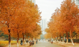 2 điểm check-in nhìn ảnh như nước ngoài nhưng đến nơi thì 'té ngửa' dịp đầu năm 2022