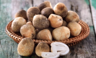 Mẹo bảo quản nấm rơm đơn giản, để chục ngày nấm rơm vẫn ngon như mới mua