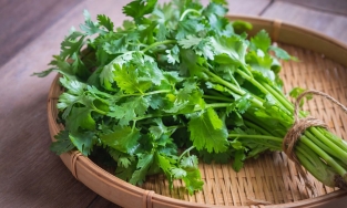 3 cách bảo quản rau mùi dù để lâu vẫn ngon, thơm nức như mùi đặc trưng