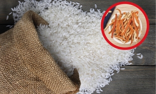 4 cách đơn giản giúp bảo quản gạo khô ráo, để lâu cũng không có mọt