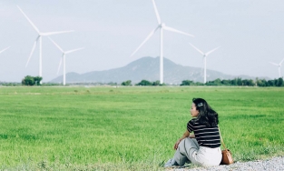 5 cánh đồng điện gió ở Việt Nam đẹp không kém trời Âu, chỉ đứng vào là có ngàn ảnh đẹp