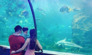 4 điểm vui chơi cuối tuần thú vị cho gia đình có con nhỏ gần Hà Nội