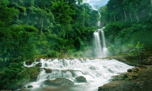 5 điểm du lịch cực chill tại Bảo Lộc, số 2 từng góp mặt trong MV đình đám của Sơn Tùng MTP