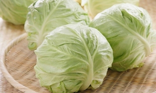 5 mẹo chọn bắp cải tươi ngon, chắc nịch, đảm bảo không phun thuốc