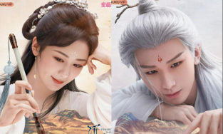 Dương Tử bị người hâm mộ tố “thiếu đạo đức nghề nghiệp”