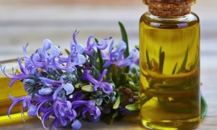 Dầu hương thảo có tốt cho tóc không? Cách sử dụng như thế nào?