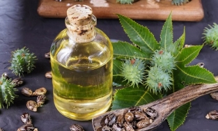 Dầu thầu dầu có hiệu quả để giải quyết các vấn đề về da đầu không?