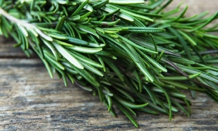 15 loại thảo mộc chống lão hóa tốt nhất cho làn da tươi trẻ (P3)