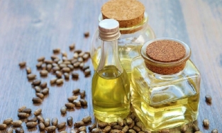 11 lợi ích sức khỏe và công dụng của dầu thầu dầu