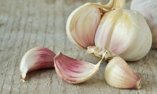 Cách trị mụn bằng tỏi có thực sự hiệu quả không?
