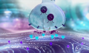 TINH CHẤT TRƯỜNG “XINH” BẤT LÃO MUNAPSYS – BÍ QUYẾT TRẺ HOÁ THẦN KỲ