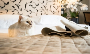 4 thuyết âm mưu bí ẩn của làng thời trang cao cấp 