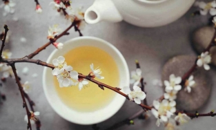 Trà trắng: Thực phẩm nâng tầm nhan sắc