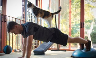 4 bài tập thể dục tại nhà giúp bạn sống qua thời kỳ phòng gym đóng cửa