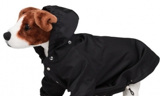 Prada ra mắt áo mưa cho cún cưng có giá gần 12 triệu đồng 