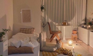 Chuyện gì xảy ra nếu ngủ dưới ánh sáng?