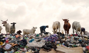 Quyên góp từ thiện không phải là cách để giảm thiểu rác thải thời trang 