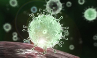 Covid-19 có thể làm ảnh hưởng đến khả năng sinh sản