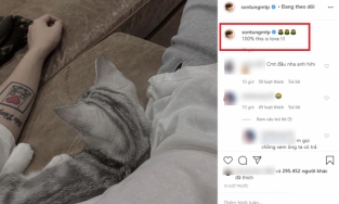 Nghi vấn Sơn Tùng - Thiều Bảo Trâm rạn nứt trước lùm xùm 'trà xanh'