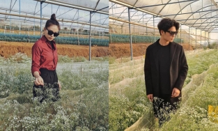 'Thành tích tình yêu' của Huy Trần và Ngô Thanh Vân sau khi công khai hẹn hò