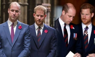 William và Harry không có ý định hàn gắn trước dịp kỷ niệm ngày sinh của mẹ