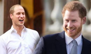 Harry nhắc tên anh trai William trước ngày khánh thành tượng Diana