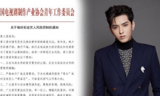 Ngô Diệc Phàm chính thức bị 'phong sát' 