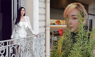 Hôm qua sao làm gì (28/7): Lương Thùy Linh bất ngờ tâm sự chuyện buồn, Tóc Tiên chụp ảnh 'cây nhà lá vườn'