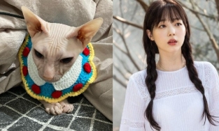Sau Heechul, Kim Seon Ah là người nhận nuôi mèo của Sulli