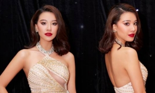 Rò rỉ kết quả thi đại học 4 điểm mỗi môn được cho là của Á hậu Kim Duyên 