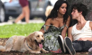 Camila Cabello và Shawn Mendes tay trong tay trên phố sau 2 tháng từ tình yêu xuống tình bạn