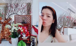 Toàn cảnh Lệ Quyên năm đầu đón Tết trong căn biệt thự triệu đô với tình trẻ kém 12 tuổi