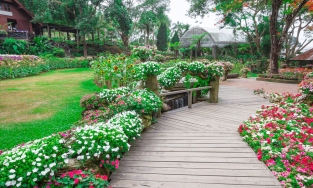Những khu vườn ngập tràn sắc hoa khiến người ngắm như lạc vào xứ thần tiên